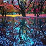 Jocelyn Ramos-Senn's photo
