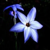 Melissa Compton's photo