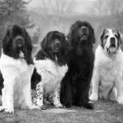 Sonja Zinke's photo