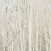Foto de Anna Schmidt
