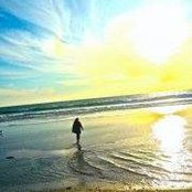 Cynthia Summers's photo
