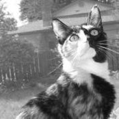 Maria Clow's photo