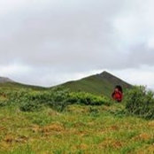 Jack Pitera's photo