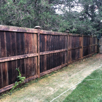Total Fence Restoration