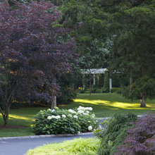 Outdoor spaces