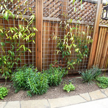 Garden 2024