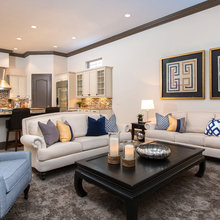 Living Room Ideas