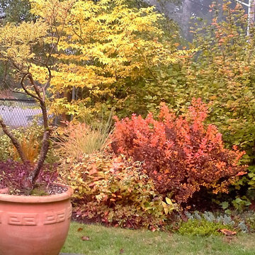 garden design