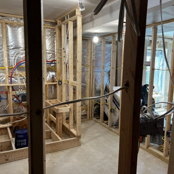 Basement Remodel