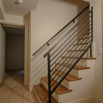 Modern Whole House Renovation