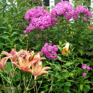 Great Garden Combos