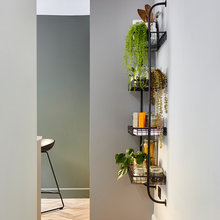 Shelves