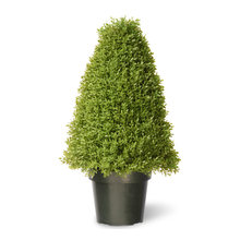 Artificial Trees and Shrubs