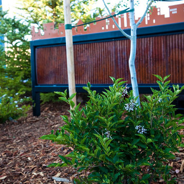 Fence Projects