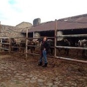 Maria Castro Gonzalez's photo