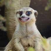 Andrea Joffe's photo