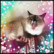 Cathy Simさんの写真