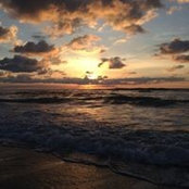 Lee Adler's photo
