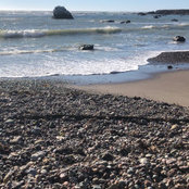 Kristin Stepien's photo