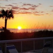 Judy Blanner Webb's photo