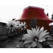 Cecile Mulot's photo