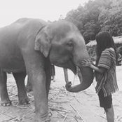 Alishia Ladak's photo