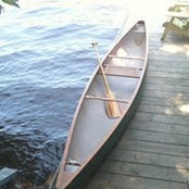 Michelle Stronach's photo