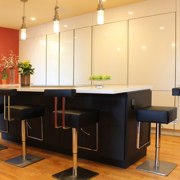 Cupertino kitchen in carbon oak and gloss white cabinets