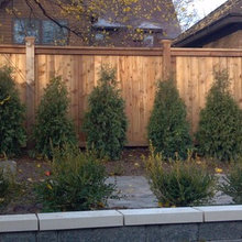 fence ideas