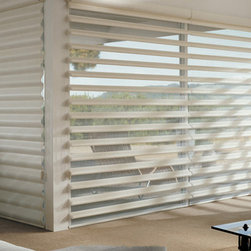 Hunter Douglas Pirouette&reg; - Window Blinds