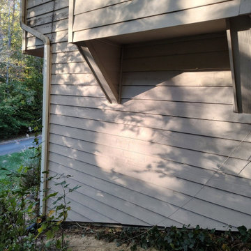 Wood Rot Repair