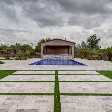 Desert Transitional