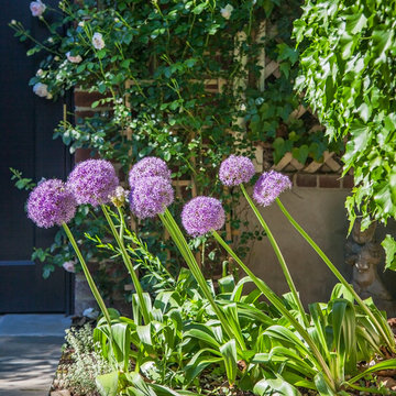 KALORAMA TRADITIONAL