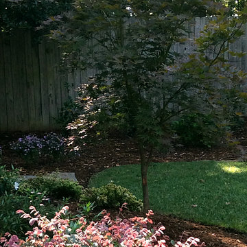 Rainwater Fountain