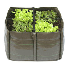 Grow Green!