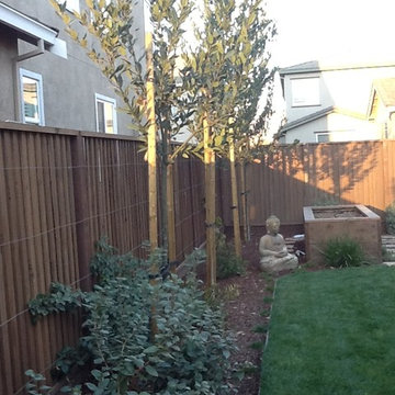 Back Yard for a Young Family