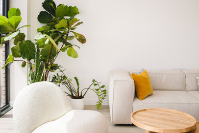 Diseño de salón abierto y gris y blanco minimalista de tamaño medio sin chimenea con paredes blancas, suelo de madera en tonos medios, televisor independiente y suelo beige