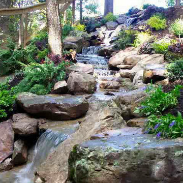 Waterscapes