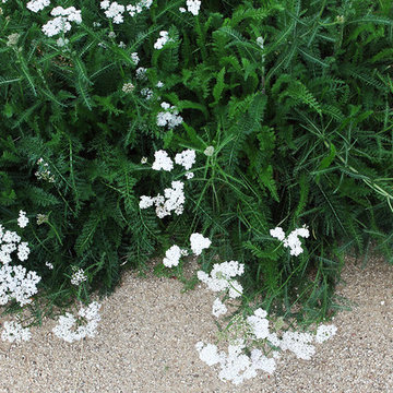 2017 Native Plant Garden Tour