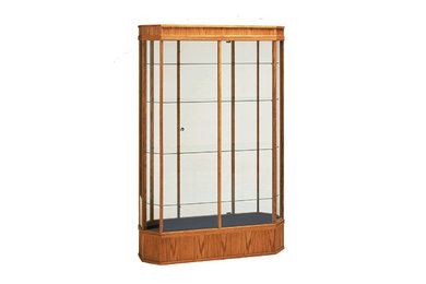 48" Stretch Collector's Wall Display Case