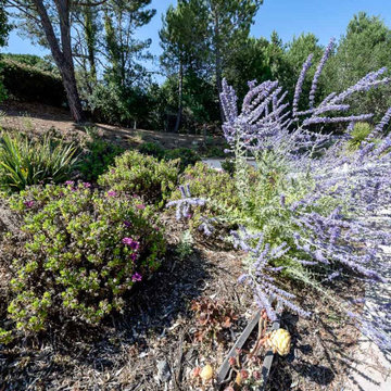 Hillsborough - Mediterranean Villa