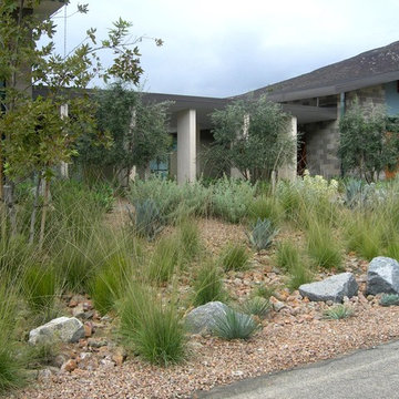 Exceptional Landscapes