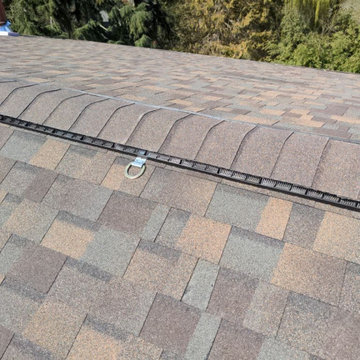 University Place Asphalt Roof