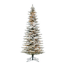 Christmas Must Haves