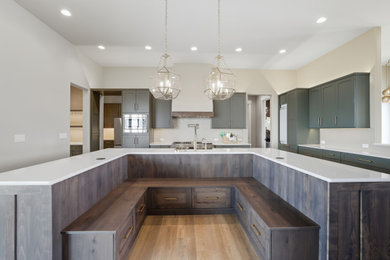 Kitchen - contemporary kitchen idea in Denver