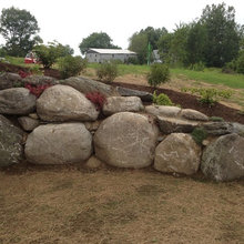51 Colby Landscape