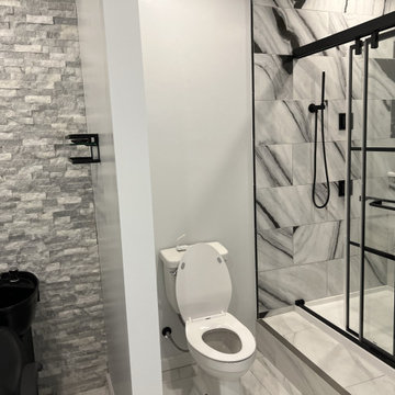 Basement Remodel