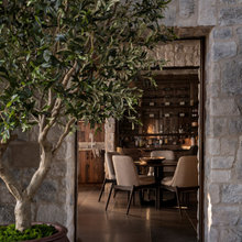 Plant Ideas For Large Interior Spaces