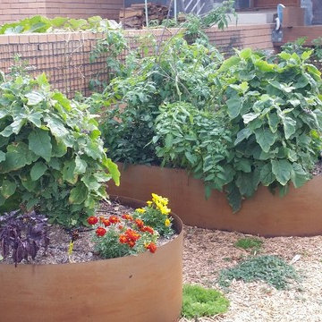 Summer Veggie Garden Planting
