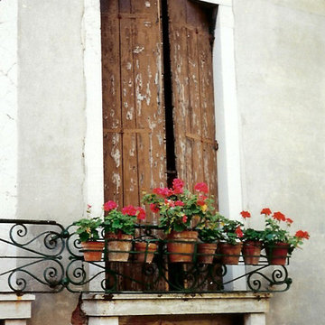 Eight Geraniums